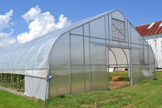 Einzelnes Tunnel PET Film-Gewächshaus-wirtschaftliche Art grünes Gemüsehaus