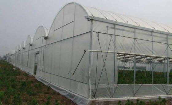 100 Mikrometer PET Film-Gewächshaus-einlagiges Plastiktunnel-Gewächshaus