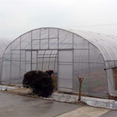 100 Mikrometer PET Film-Gewächshaus-einlagiges Plastiktunnel-Gewächshaus