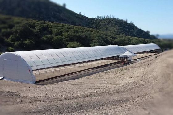 100 Mikrometer PET Film-Gewächshaus-einlagiges Plastiktunnel-Gewächshaus