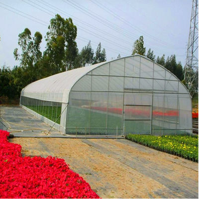 100 Mikrometer PET Film-Gewächshaus-einlagiges Plastiktunnel-Gewächshaus