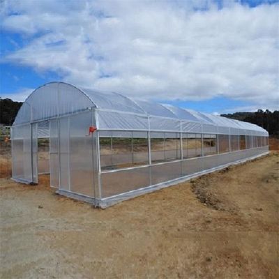 100 Mikrometer PET Film-Gewächshaus-einlagiges Plastiktunnel-Gewächshaus