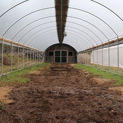 Galvanisiertes Stahlhohes Tunnel-Gewächshaus des rahmen PET Film-Gewächshaus-3.2m