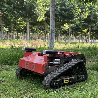 Unkraut-Entferner-landwirtschaftlicher Rasenmäher TUV-Weg hinter Mäher 550mm