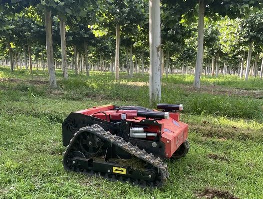 Unkraut-Entferner-landwirtschaftlicher Rasenmäher TUV-Weg hinter Mäher 550mm